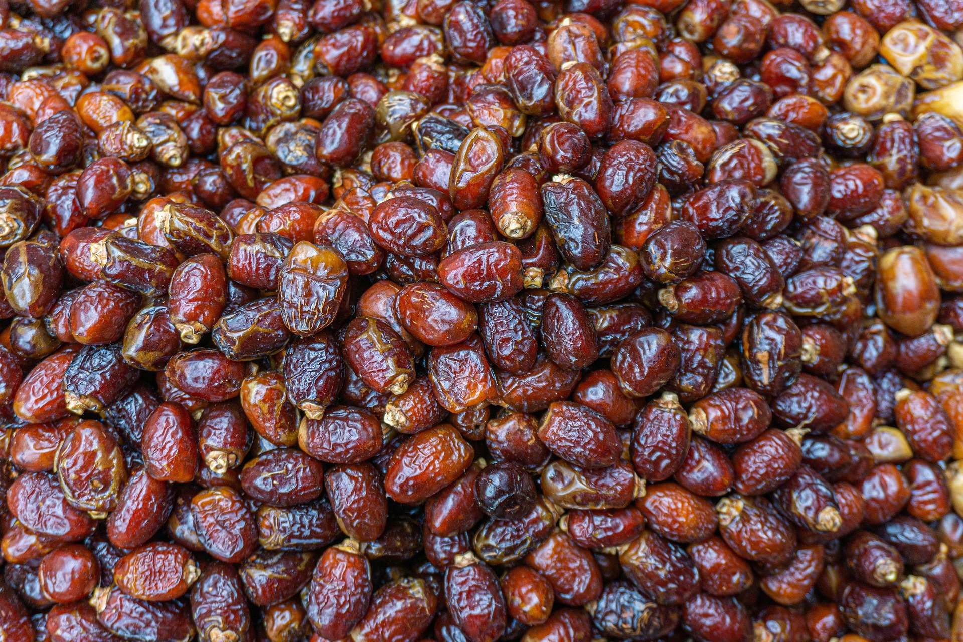 Black dates Sunflower Seed